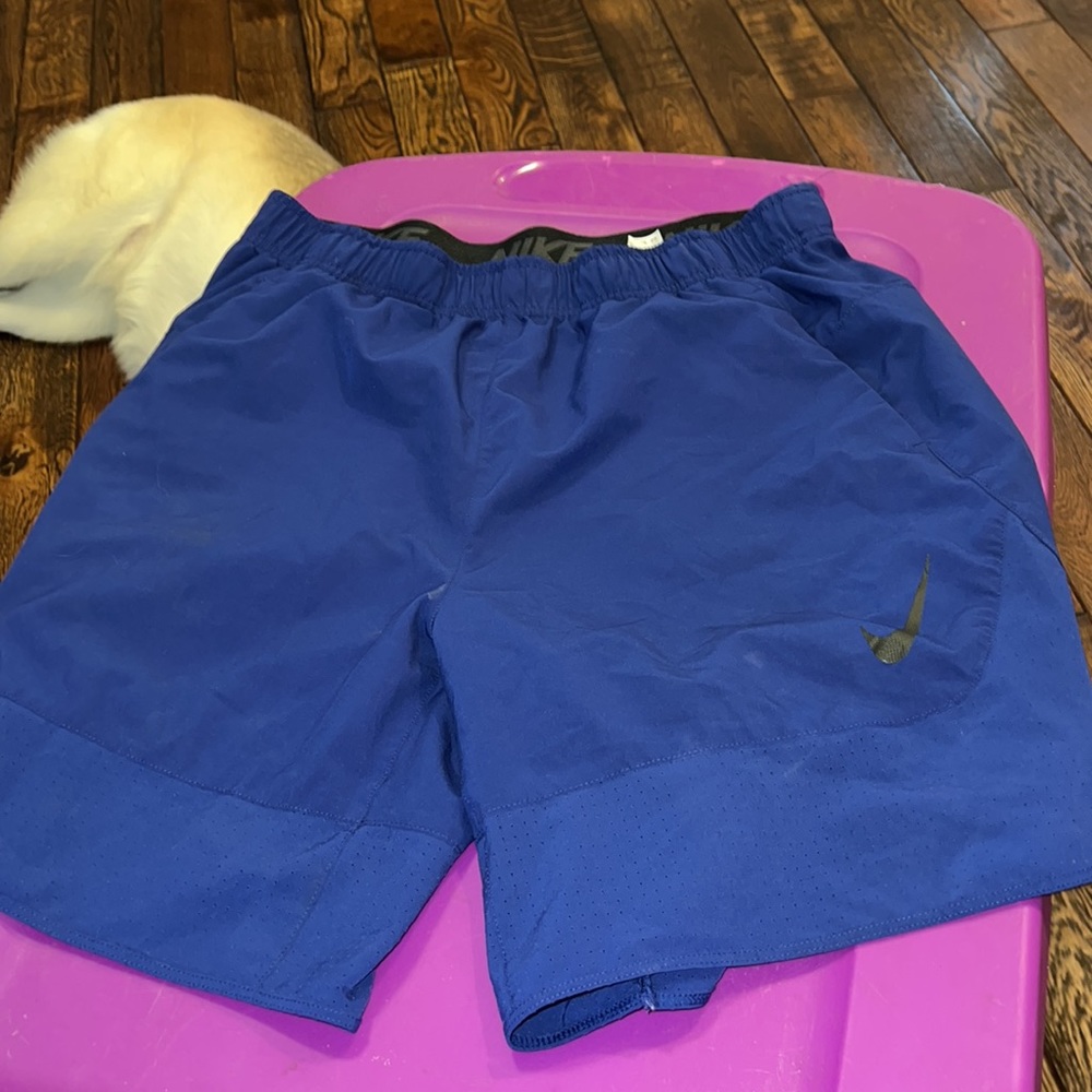 Nike large mens shorts